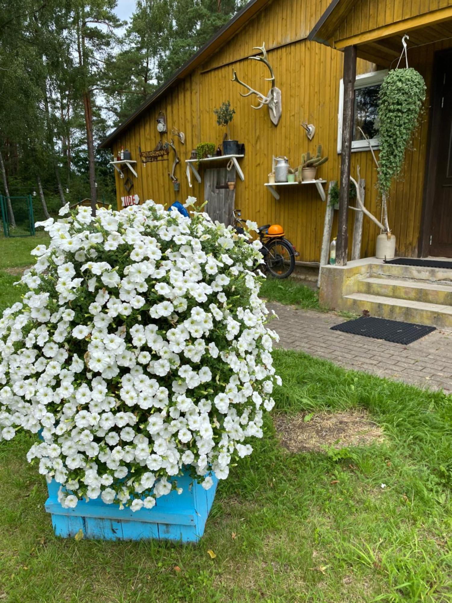 Torgu Royal Guesthouse Iide Exteriör bild